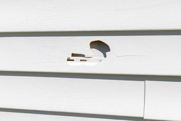 Best Storm Damage Siding Repair  in Centerville, TN